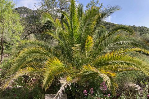 Landejendom i El Perello, Tarragona, El Perello - € 74.000 | Ref: FincaVistaValle - foto 21